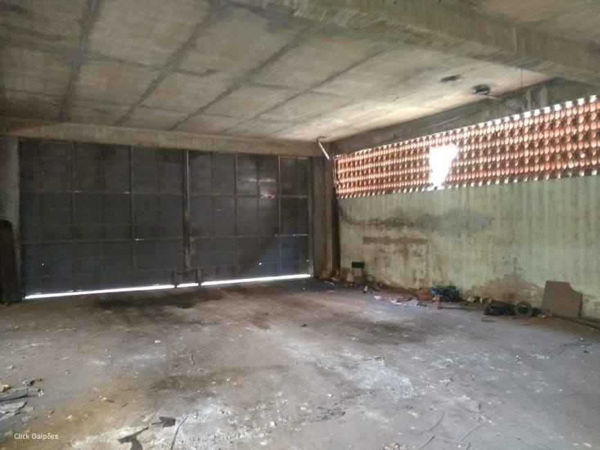 Imagem 24 - 32059277