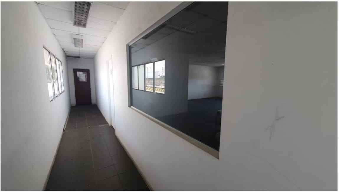 Imagem 15 - 74430394