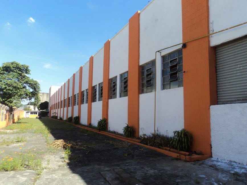 Imagem 11 - 32059419