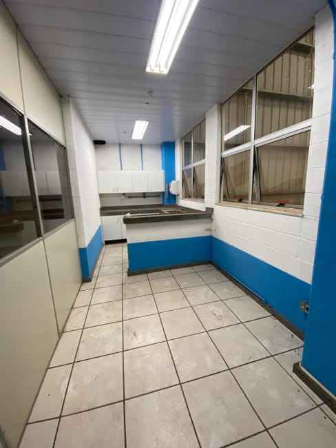 Imagem 16 - 74260328