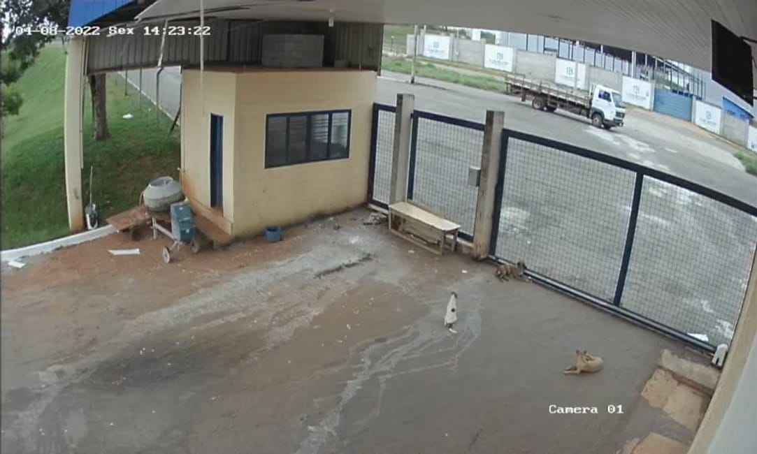 Imagem 18 - 35006539