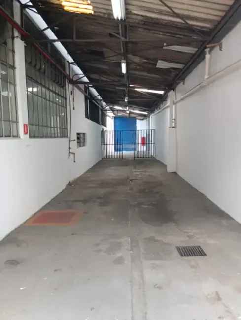 Imagem 51 - 35007937