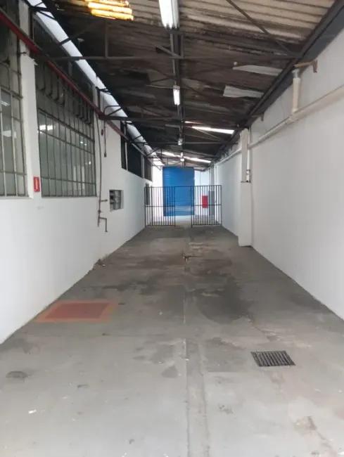 Imagem 51 - 35007937