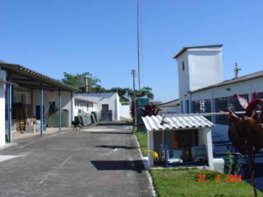 Imagem 6 - 32058395