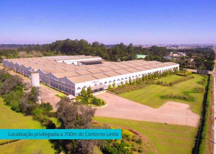 Imagem 16 - 74259583