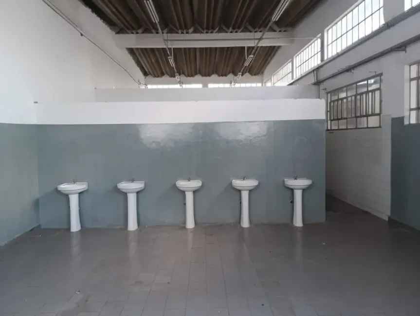 Imagem 57 - 35007937