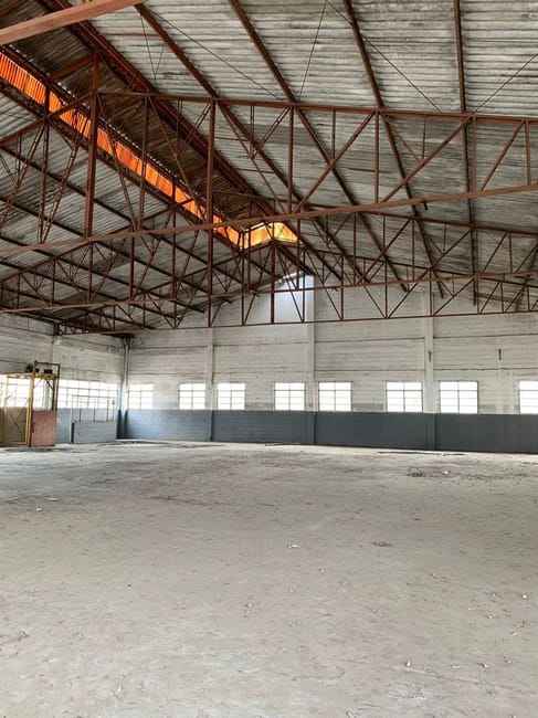 Imagem 12 - 35006883