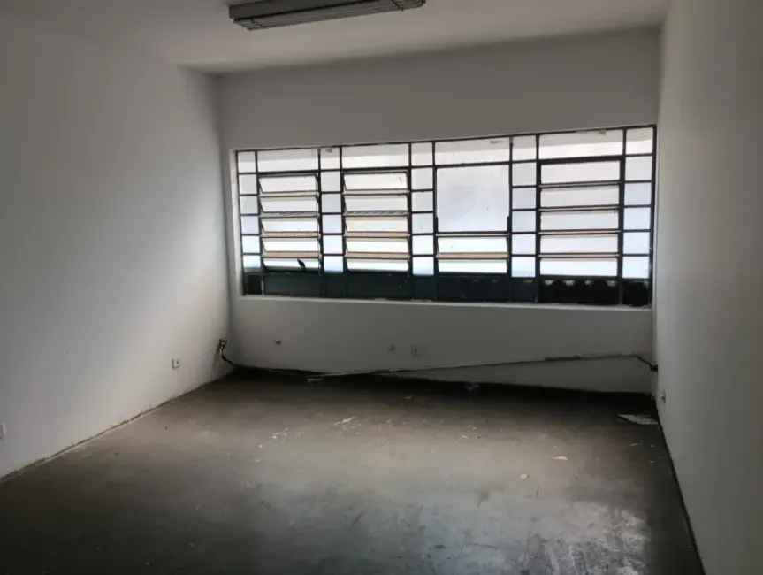 Imagem 43 - 35007937