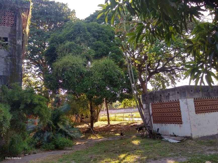 Imagem 28 - 32059277