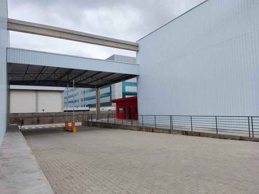 Imagem 23 - 74259801