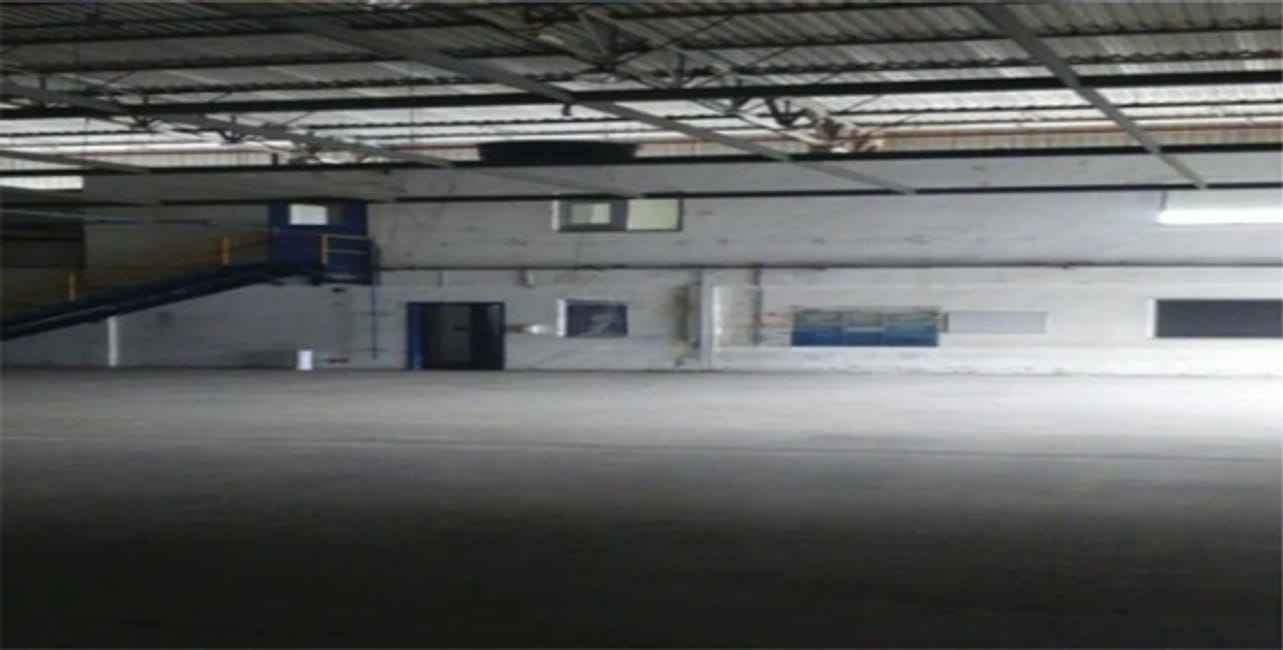 Imagem 11 - 32059479