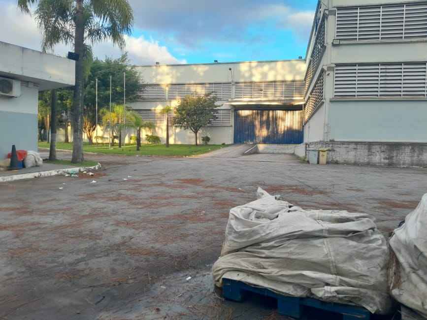 Imagem 3 - 35007422