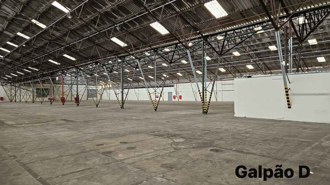 Imagem 13 - 35000428