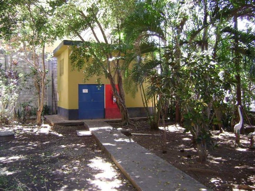 Imagem 11 - 32059331