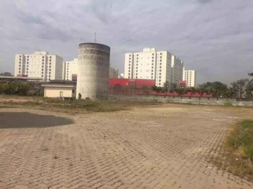 Imagem 10 - 35006593