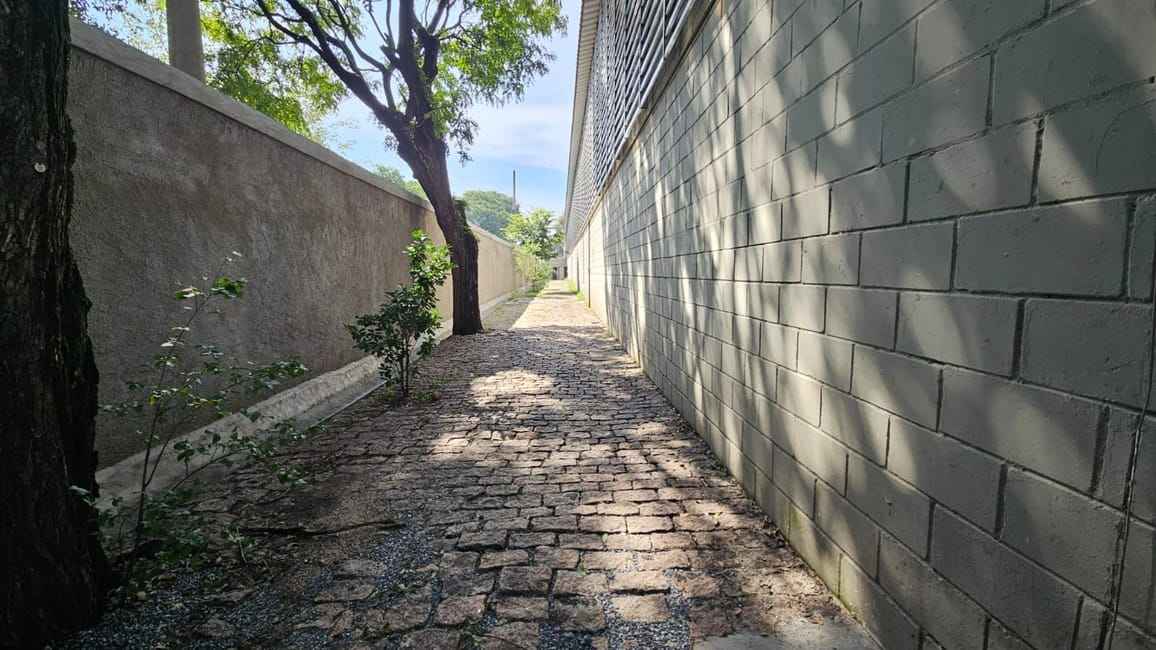 Imagem 11 - 35006927