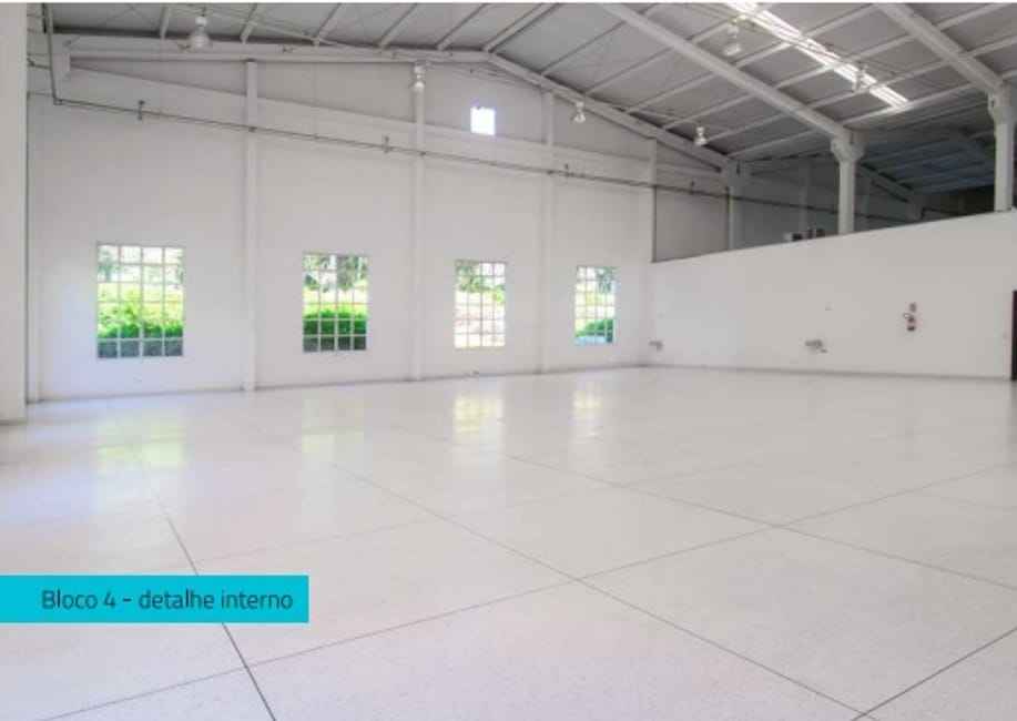 Imagem 10 - 74259583