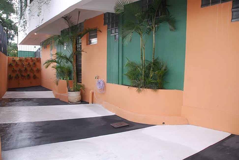 Imagem 11 - 32059548