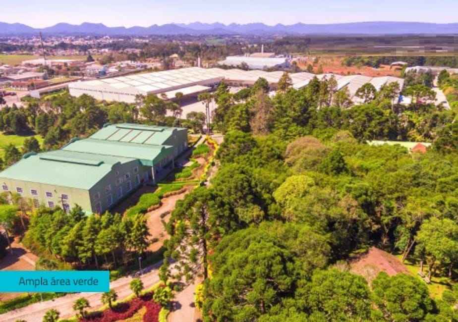 Imagem 15 - 74259583