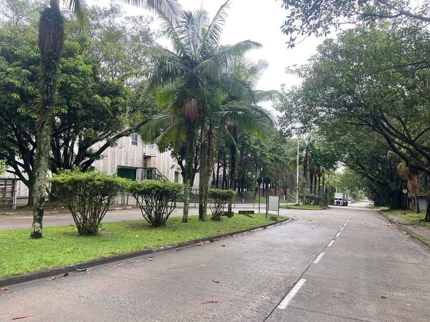 Imagem 18 - 74260450