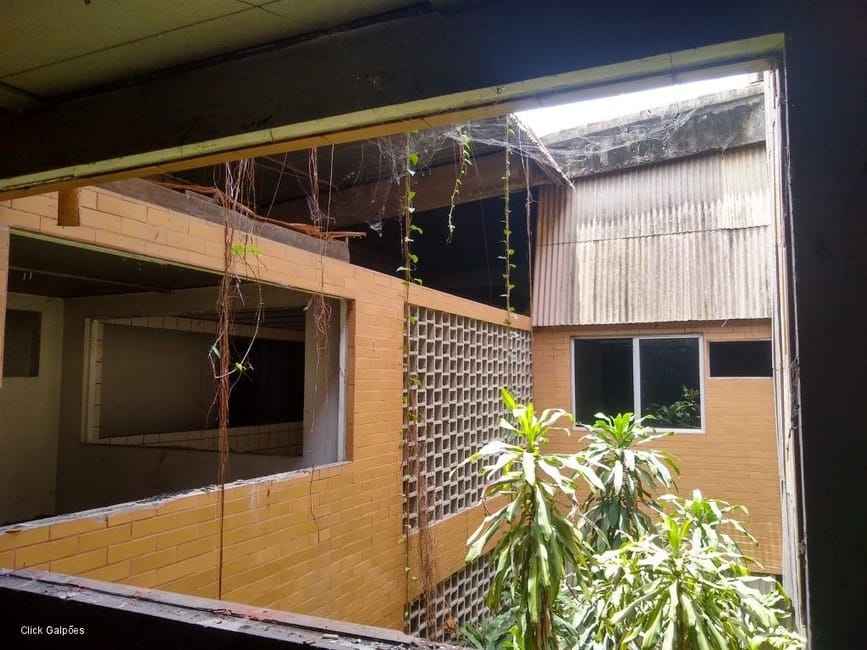 Imagem 13 - 32059277