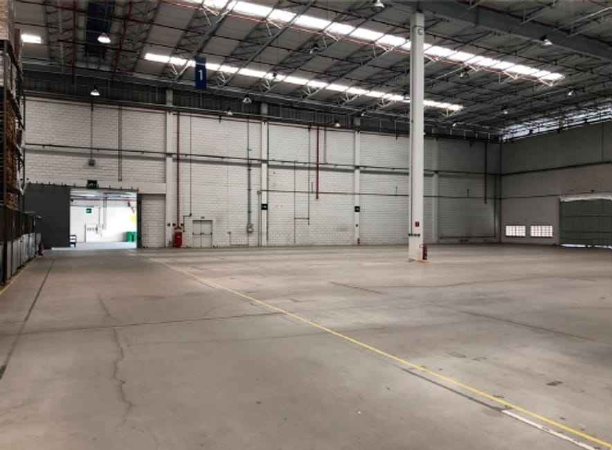 Imagem 22 - 74259801