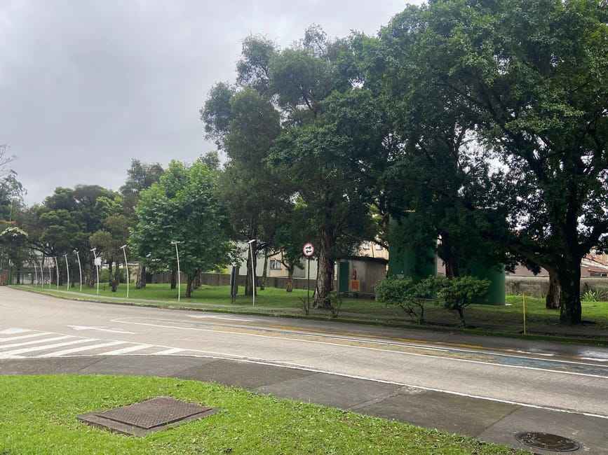 Imagem 24 - 74260450