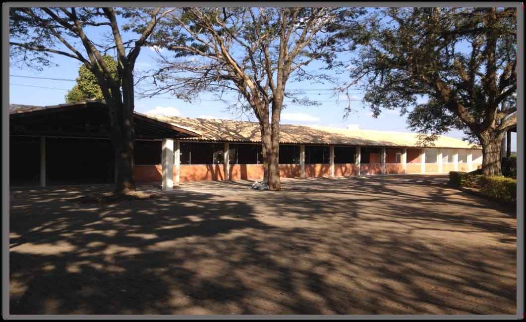 Imagem 15 - 35002647