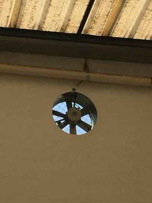 Imagem 11 - 32058637