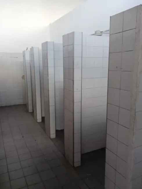 Imagem 55 - 35007937