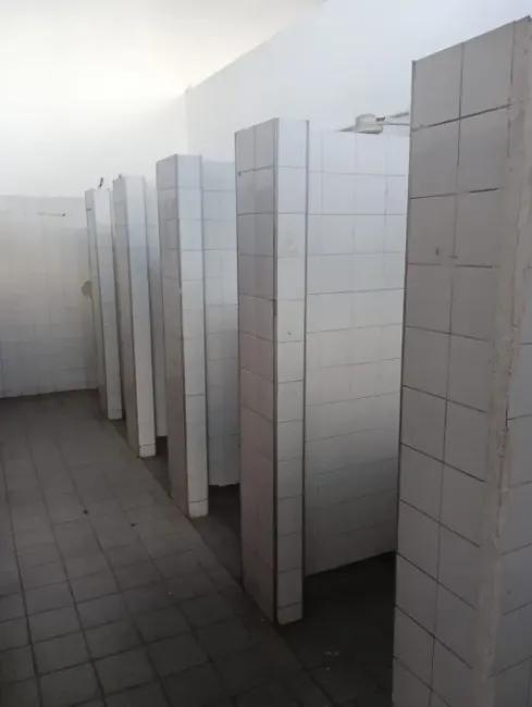 Imagem 55 - 35007937