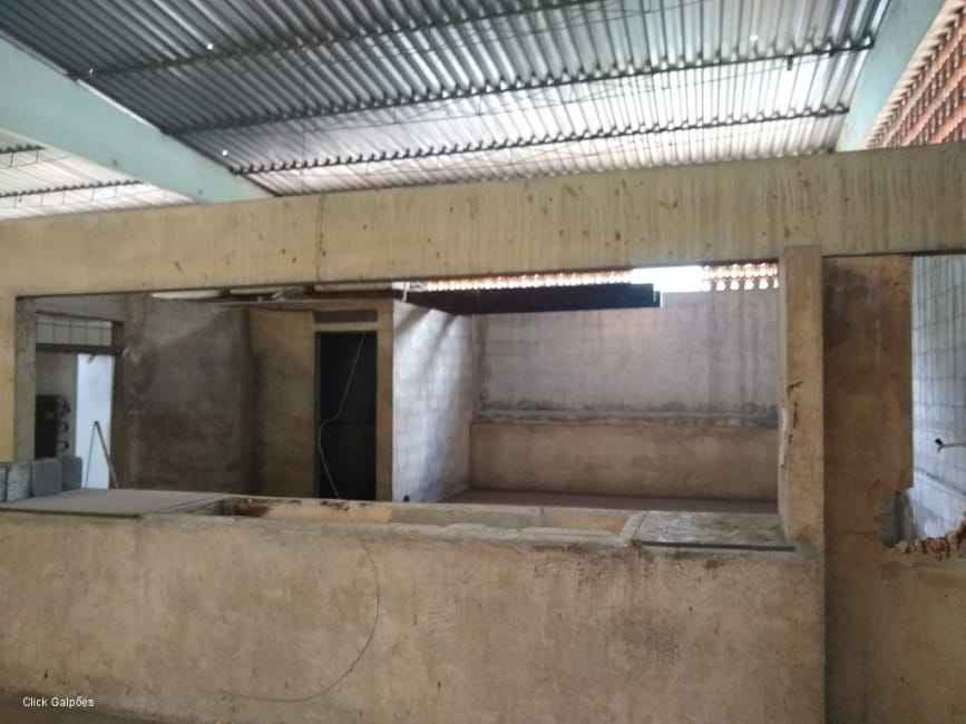 Imagem 15 - 32059277