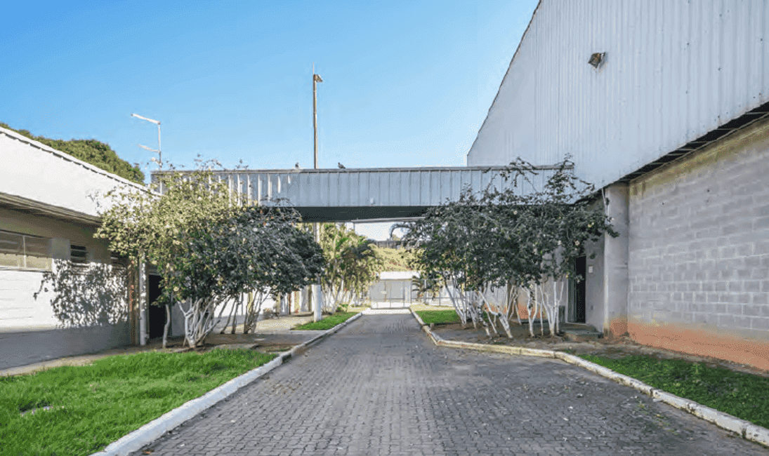 Imagem 18 - 74260357