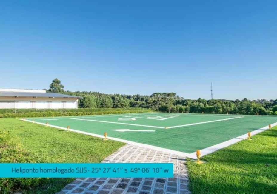 Imagem 18 - 74259583