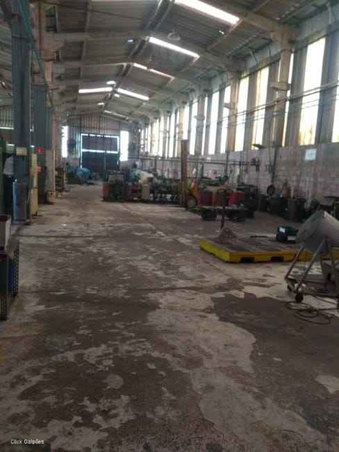 Imagem 15 - 70994469