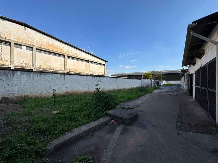 Imagem 13 - 35007236