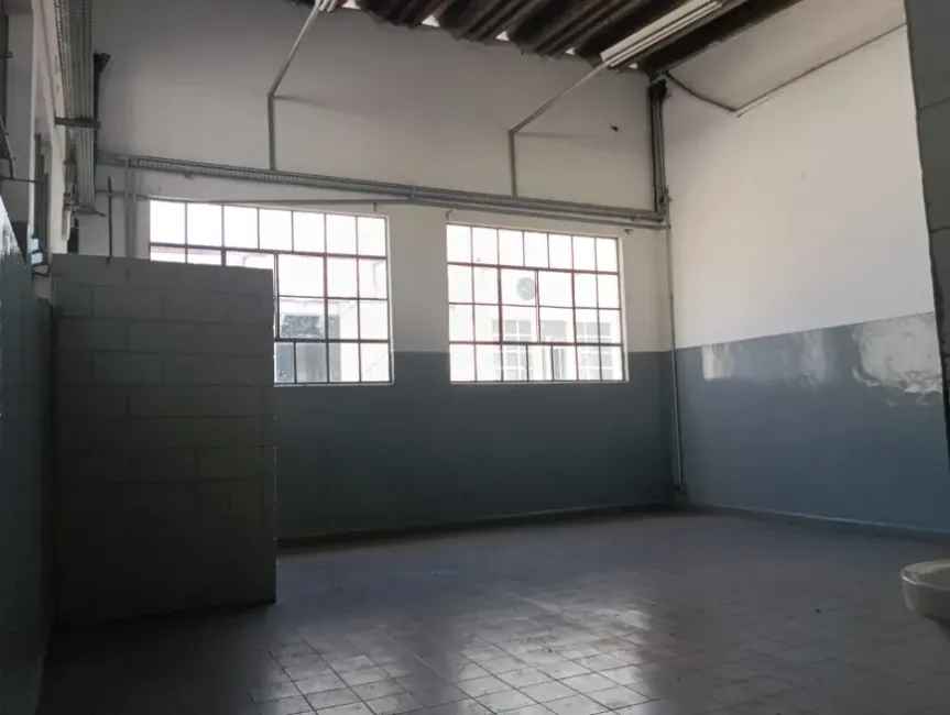 Imagem 33 - 35007937