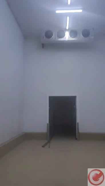 Imagem 18 - 73265928