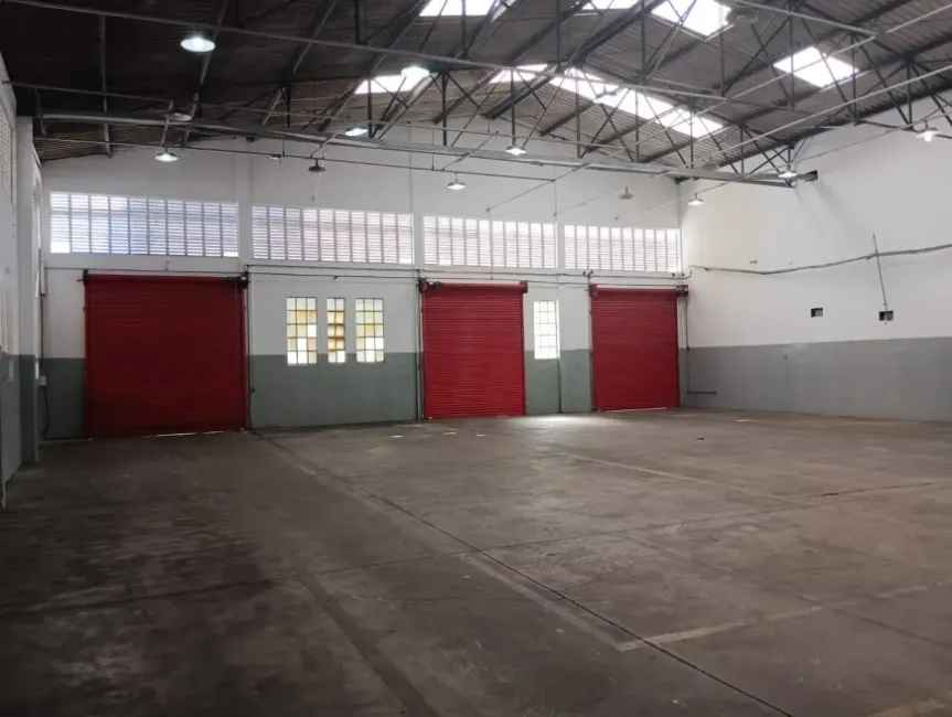 Imagem 31 - 35007937