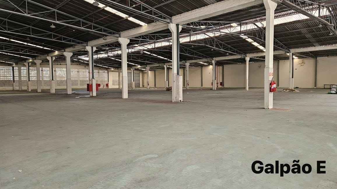 Imagem 19 - 35000428