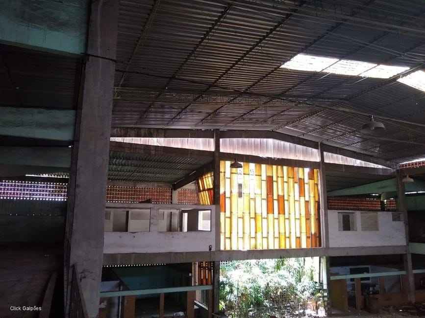 Imagem 20 - 32059277