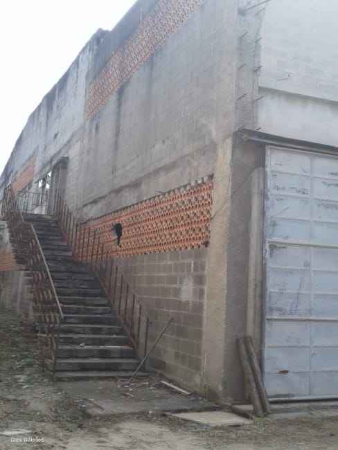 Imagem 11 - 32059277