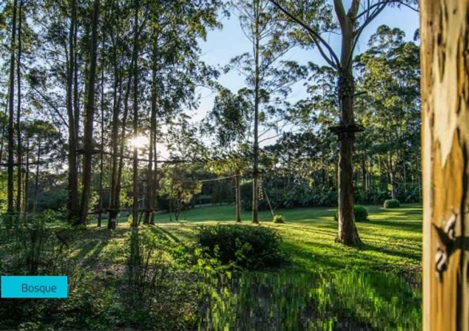 Imagem 17 - 74259583