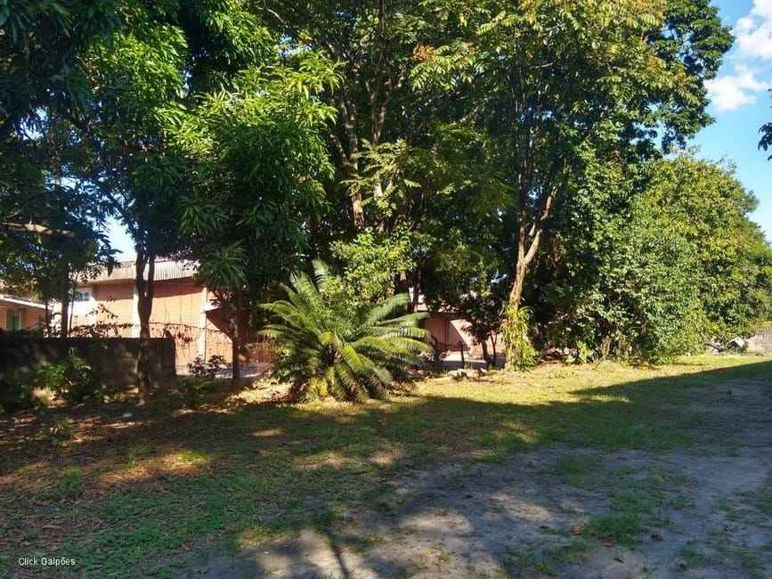 Imagem 35 - 32059277