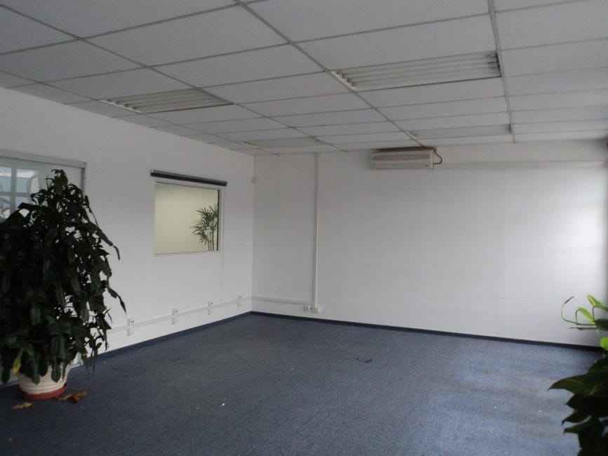 Imagem 18 - 74259428