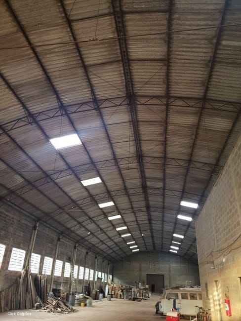 Imagem 20 - 70794573