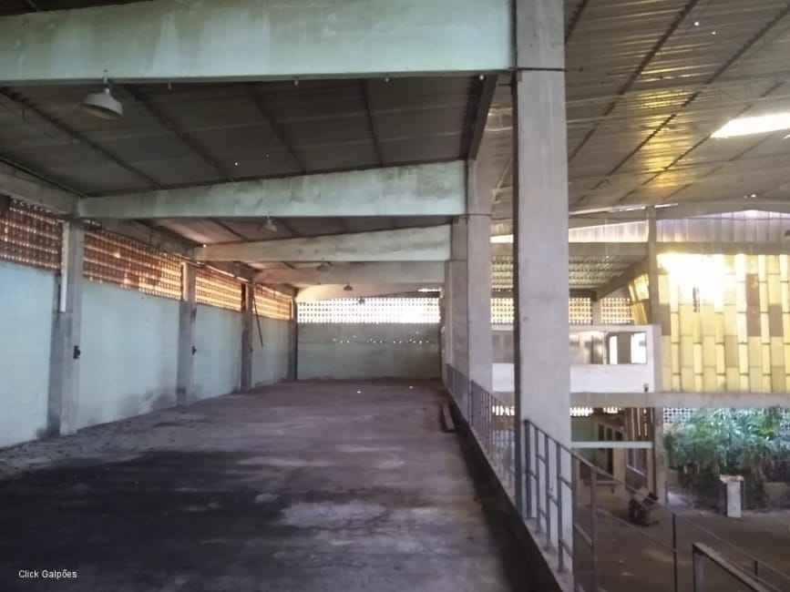 Imagem 49 - 32059277