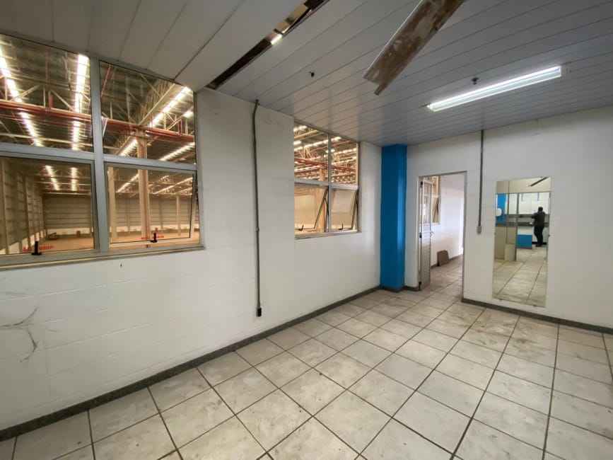 Imagem 13 - 74260328