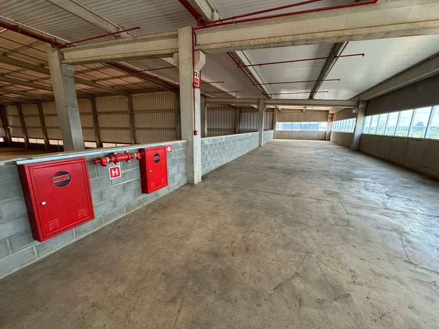 Imagem 16 - 74259946