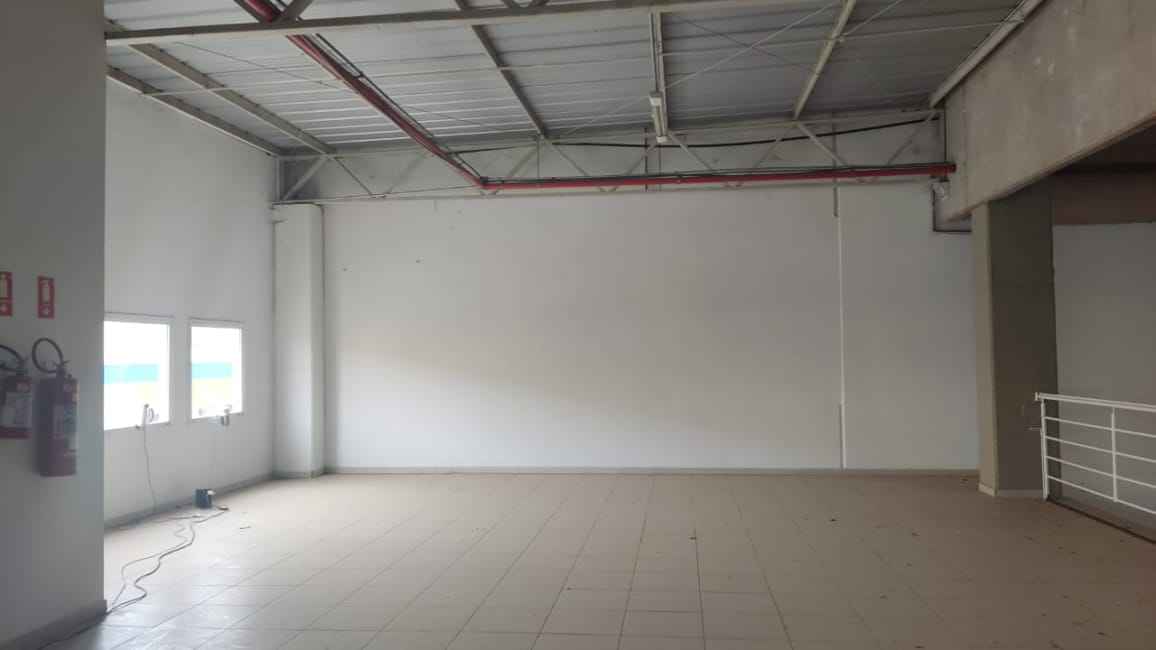 Imagem 19 - 74259357